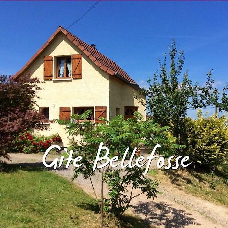 Maison Independante De Montagne En Alsace Bellefosse Екстериор снимка