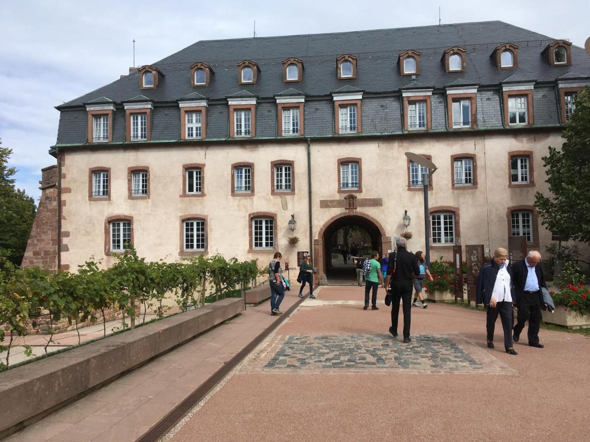 Maison Independante De Montagne En Alsace Bellefosse Екстериор снимка