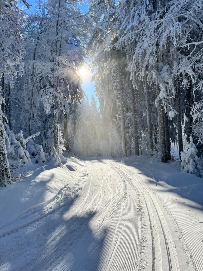 Maison Independante De Montagne En Alsace Bellefosse Екстериор снимка