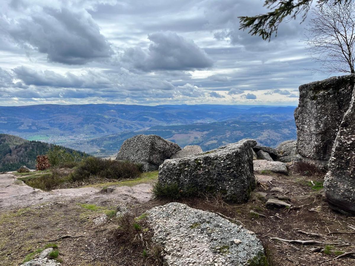 Maison Independante De Montagne En Alsace Bellefosse Екстериор снимка