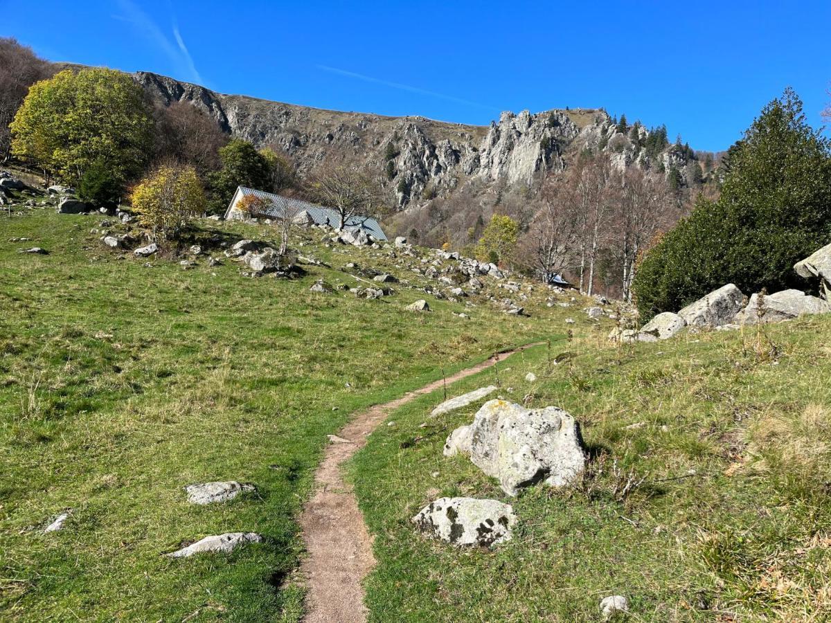 Maison Independante De Montagne En Alsace Bellefosse Екстериор снимка