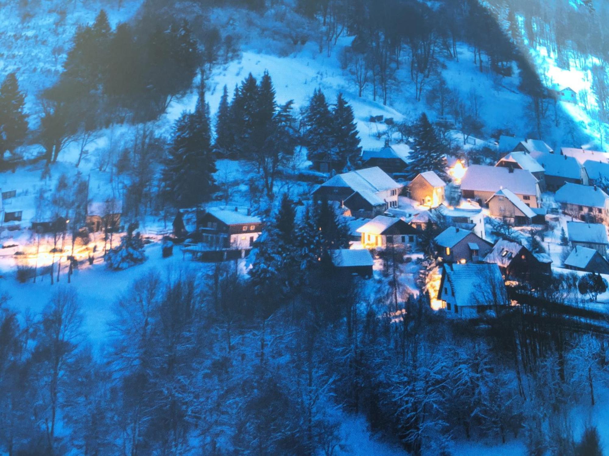 Maison Independante De Montagne En Alsace Bellefosse Екстериор снимка