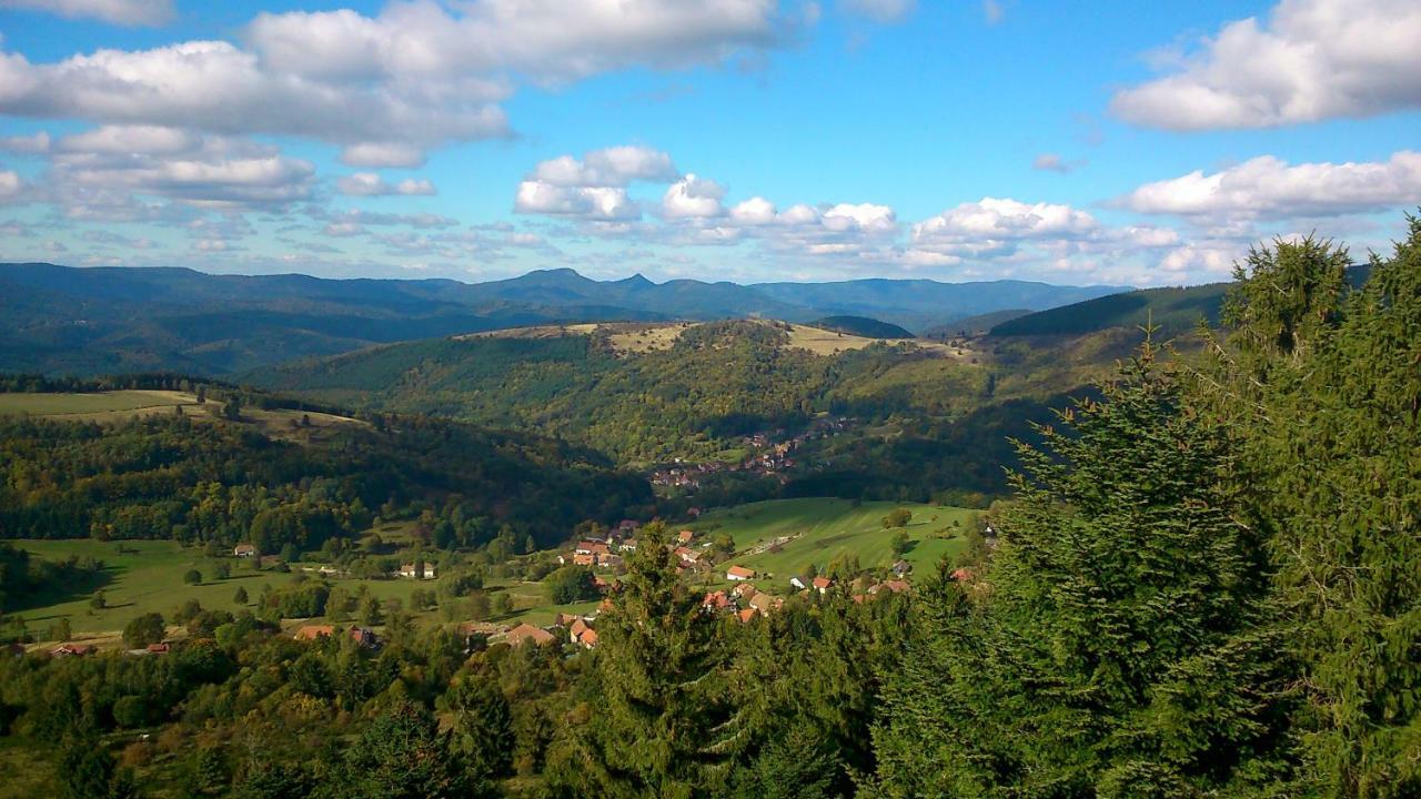 Maison Independante De Montagne En Alsace Bellefosse Екстериор снимка
