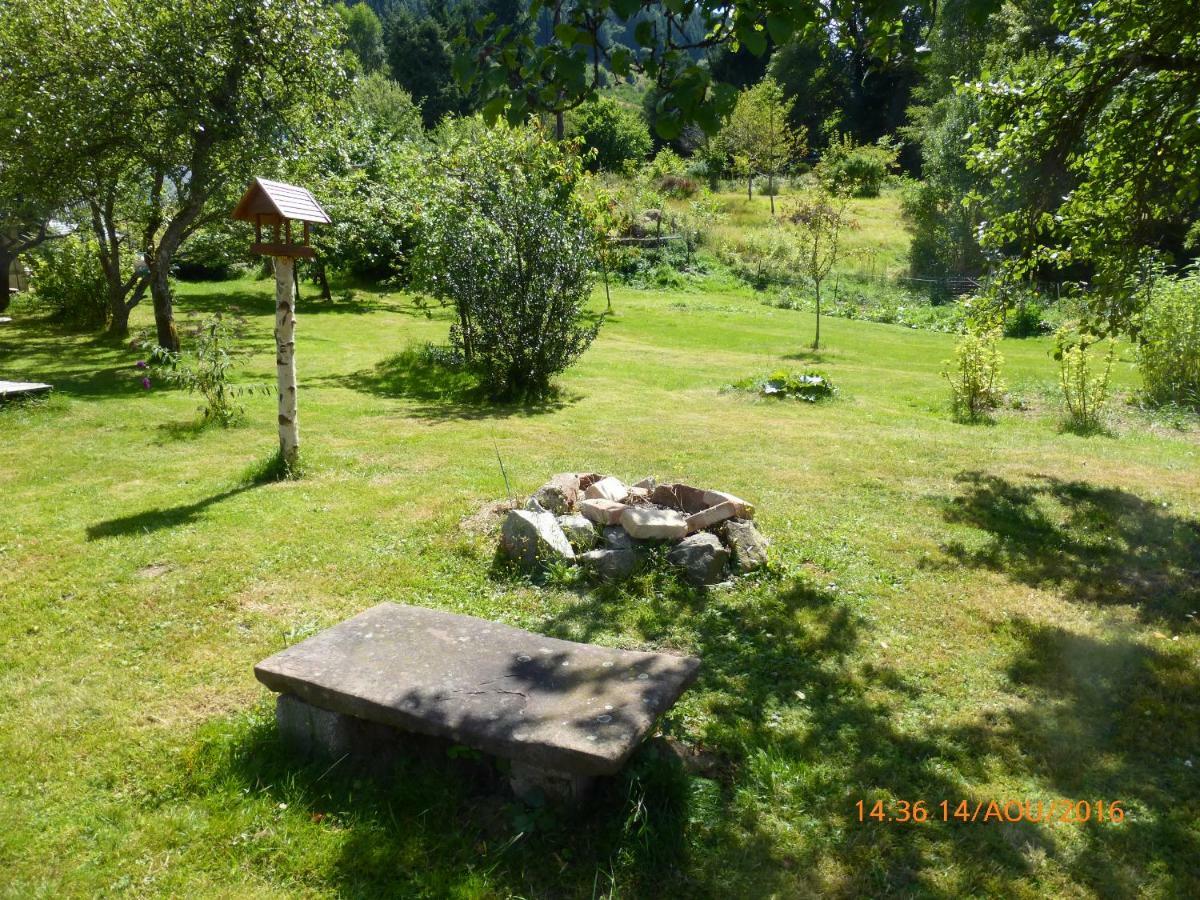 Maison Independante De Montagne En Alsace Bellefosse Екстериор снимка
