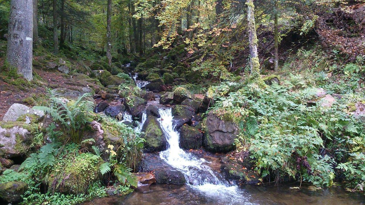 Maison Independante De Montagne En Alsace Bellefosse Екстериор снимка