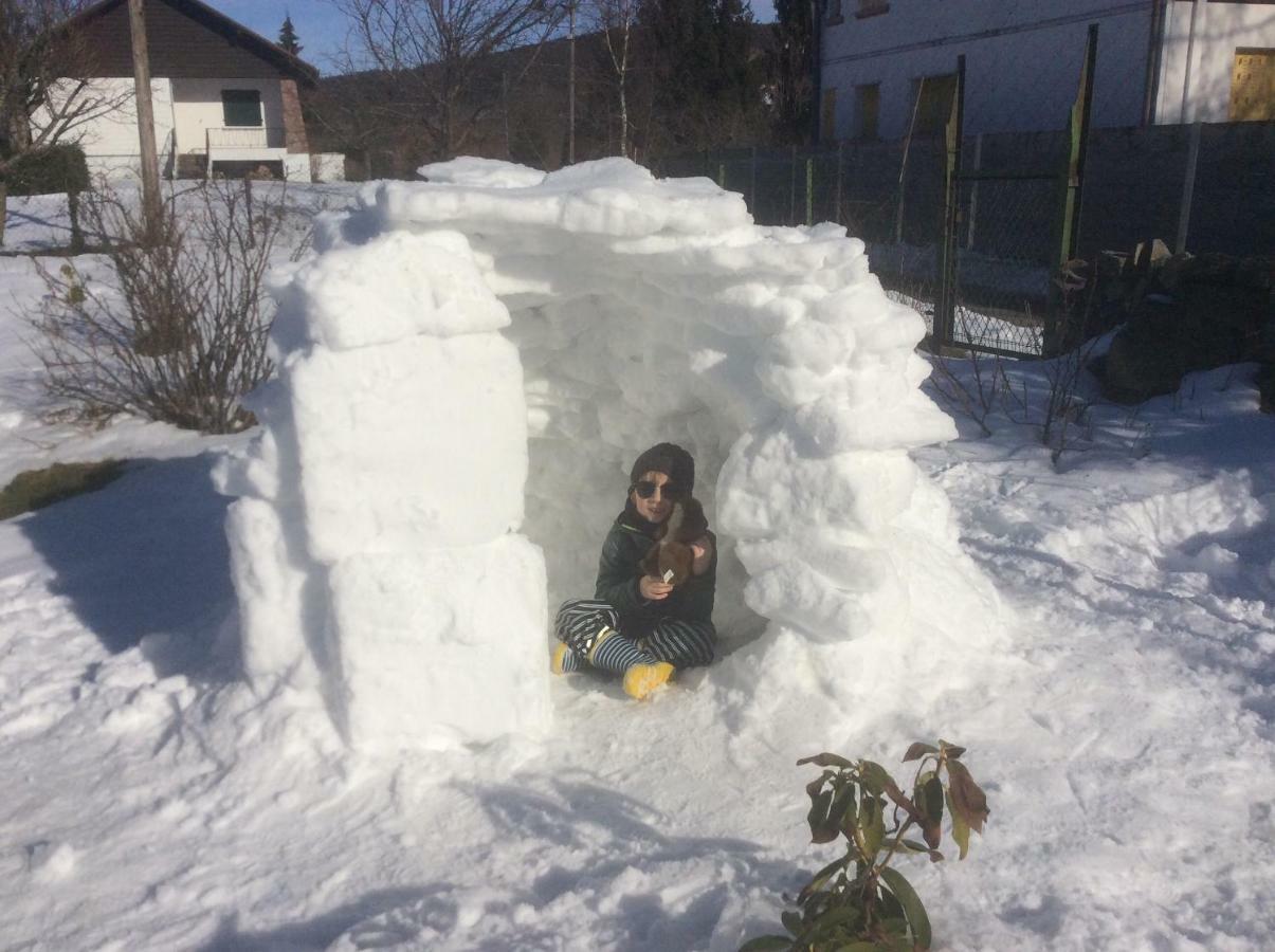 Maison Independante De Montagne En Alsace Bellefosse Екстериор снимка